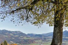 Bayerischer-Wald-1